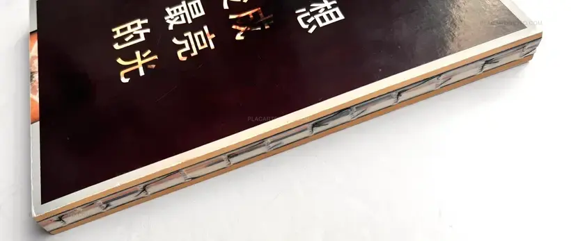 THE BRIGHTEST LIGHT RUNS TOO FAST (WITH PRINT)